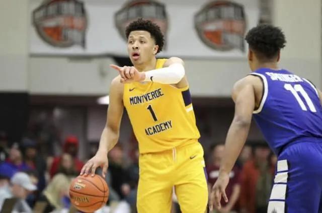 敏锐嗅觉 敏锐嗅觉